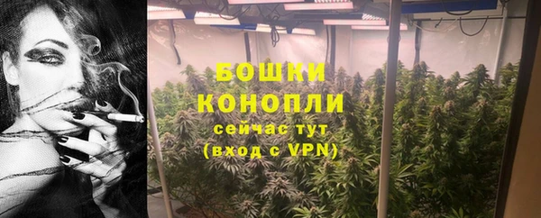 тгк Лагань
