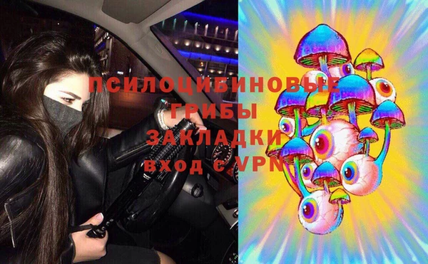 ECSTASY Ладушкин