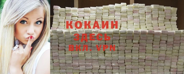 ECSTASY Ладушкин
