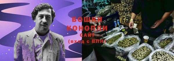 тгк Лагань