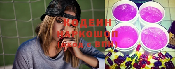 тгк Лагань