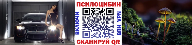 блэк спрут зеркало  Димитровград  Псилоцибиновые грибы Cubensis 