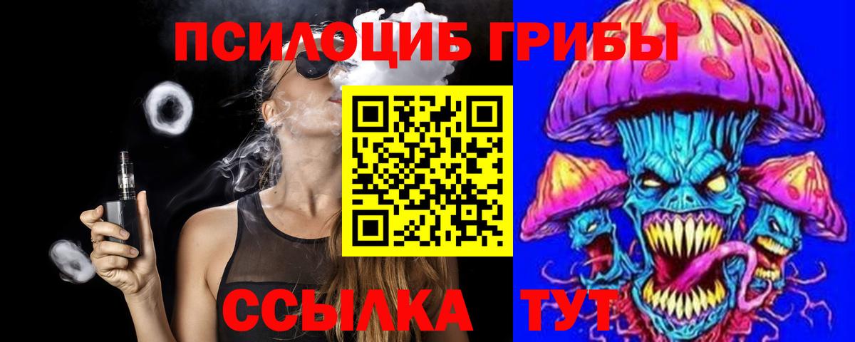 Псилоцибиновые грибы Psilocybe  Димитровград 