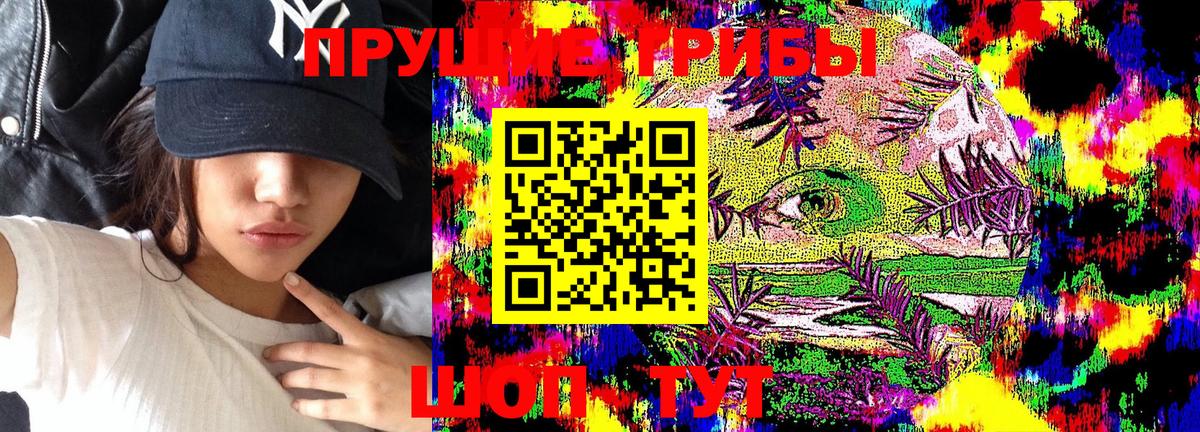 цена   Галлюциногенные грибы Magic Shrooms  Вход с VPN  Димитровград 